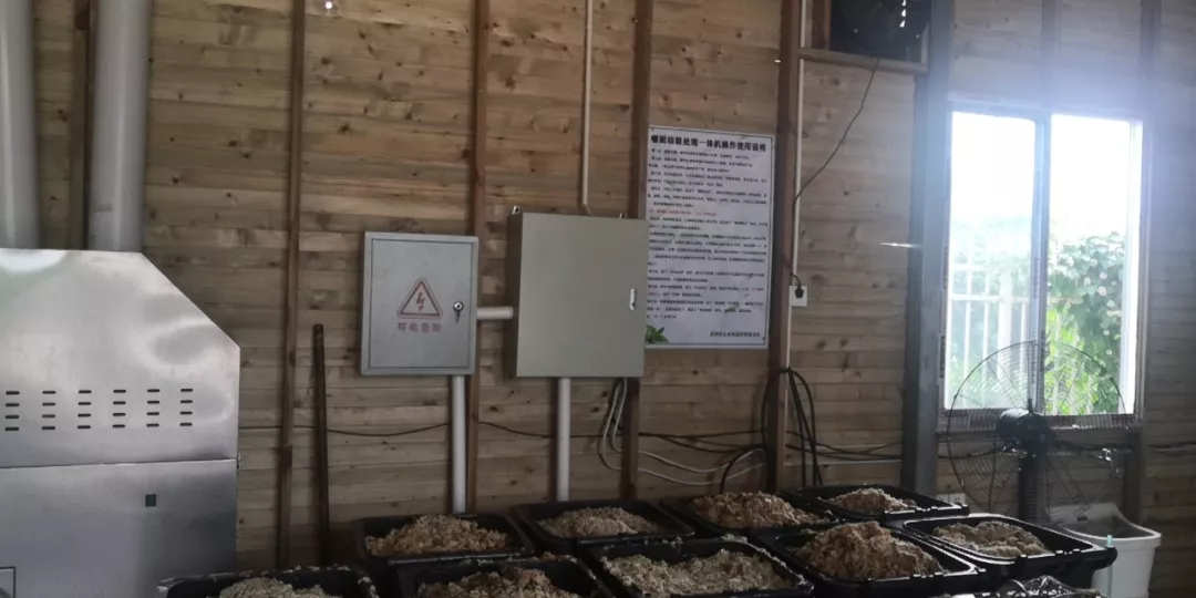 3噸餐廚垃圾處理設(shè)備 3噸餐廚垃圾處理設(shè)備